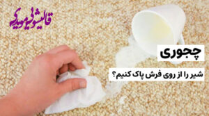 Cleaning the fat milk stain from the carpet